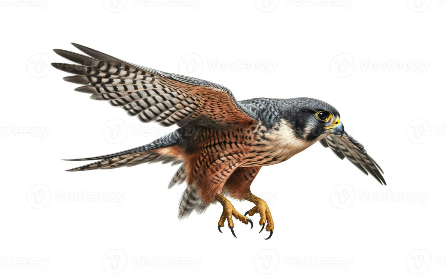 AI generated Full-Size Falcon Elegance Against a White Canvas photo