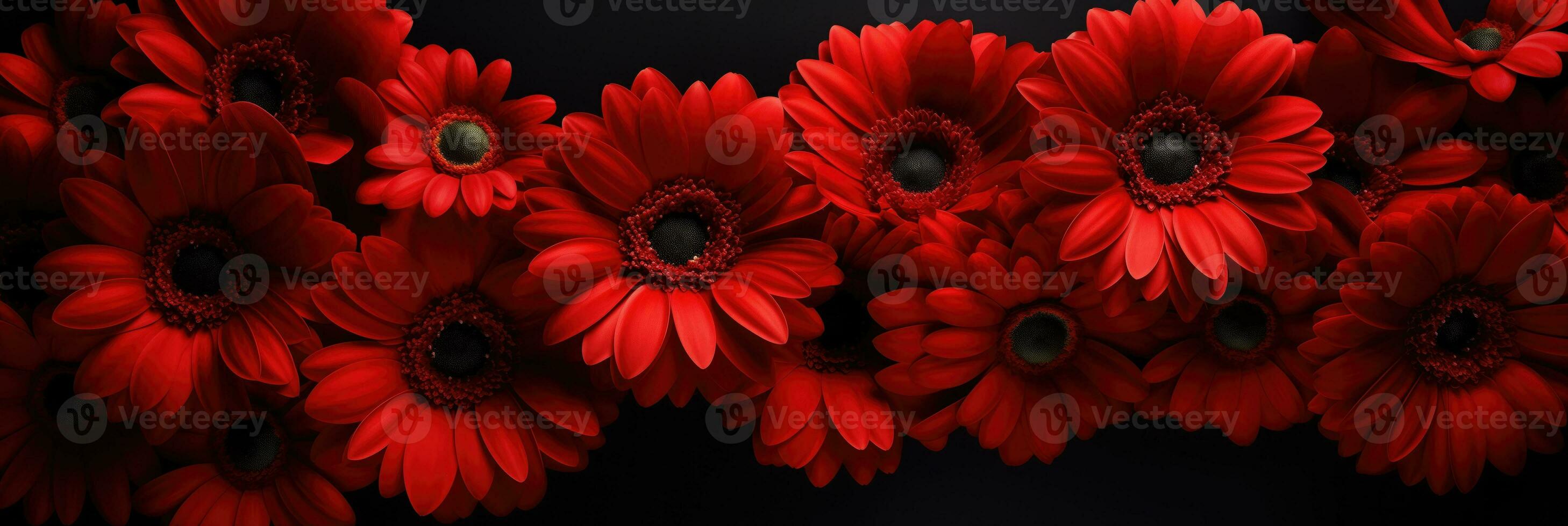 AI generated Intense Red Gerbera Daisy on Luxurious Black Satin Background with Spotlight Fiery Valentines Day Concept photo