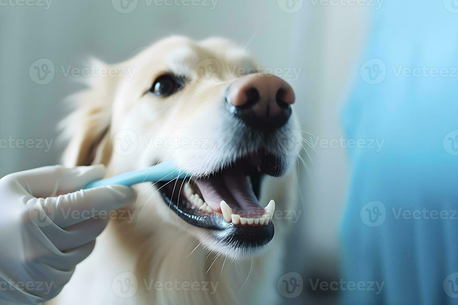 AI generated Golden retriever having his teeth cleaned. Dog grooming