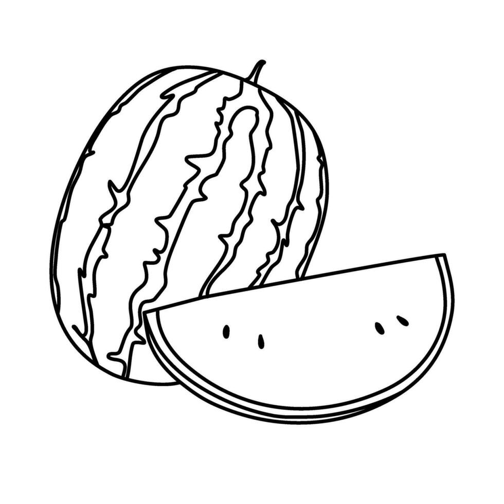 watermelon line art vector illustration perfect for summer design