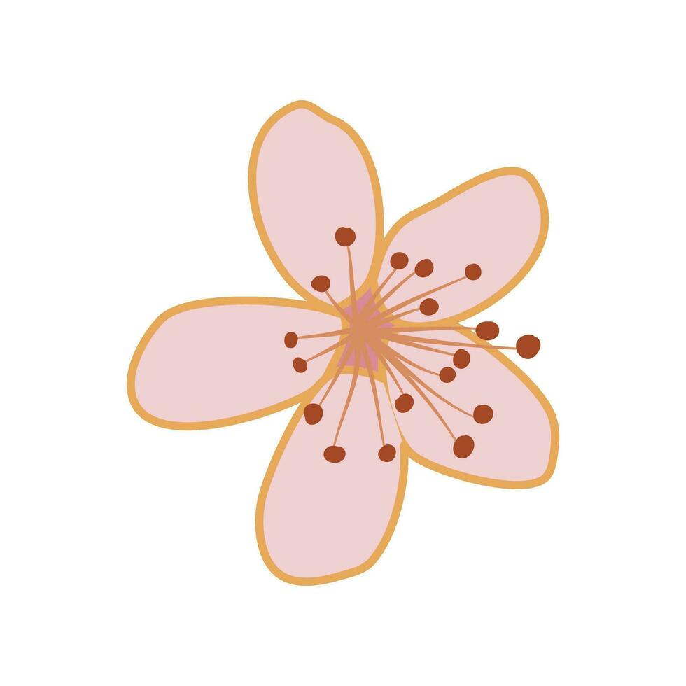 pink sakura cherry blossom vector illustration