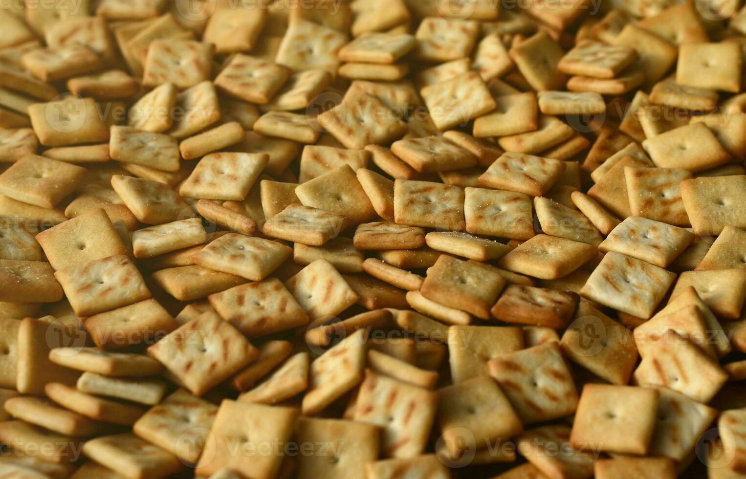 Background texture of small edible squares baked from dough and sprinkled with salt. A lot of salt cracker photo