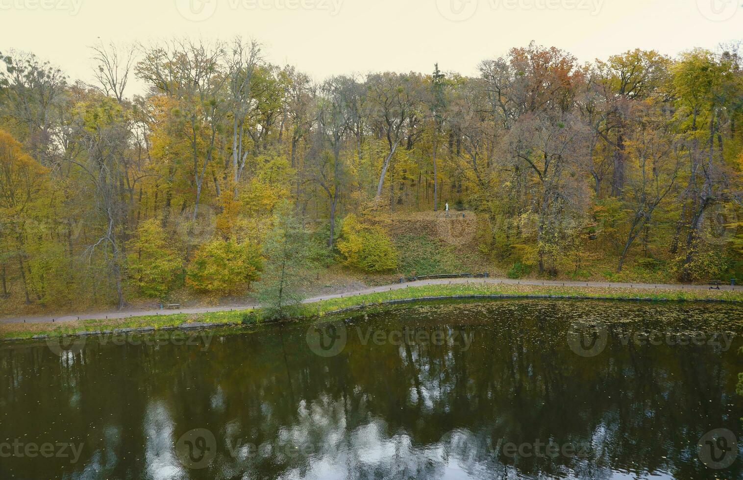 Beautiful Nature Autumn landscape with lake. Scenery view on autumn city park with golden yellow foliage in cloudy day photo