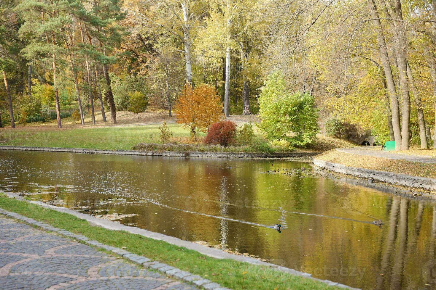 Beautiful Nature Autumn landscape with lake. Scenery view on autumn city park with golden yellow foliage in cloudy day photo