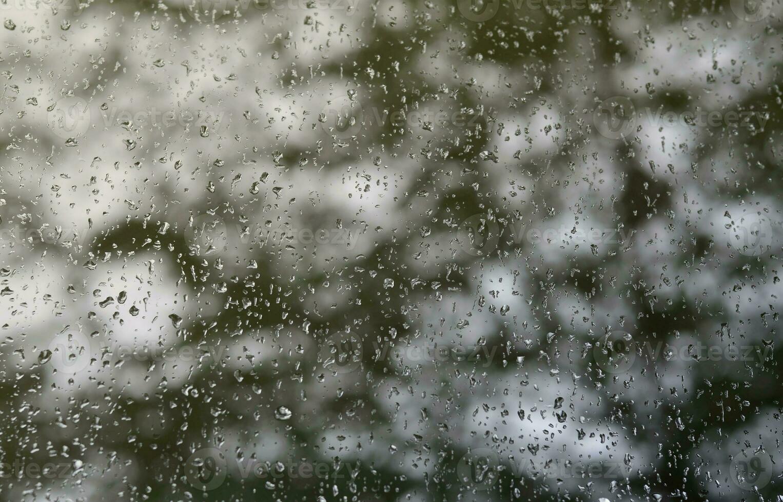 una foto de gotas de lluvia en el cristal de la ventana con una vista borrosa de los árboles verdes florecientes. imagen abstracta que muestra las condiciones meteorológicas nubladas y lluviosas