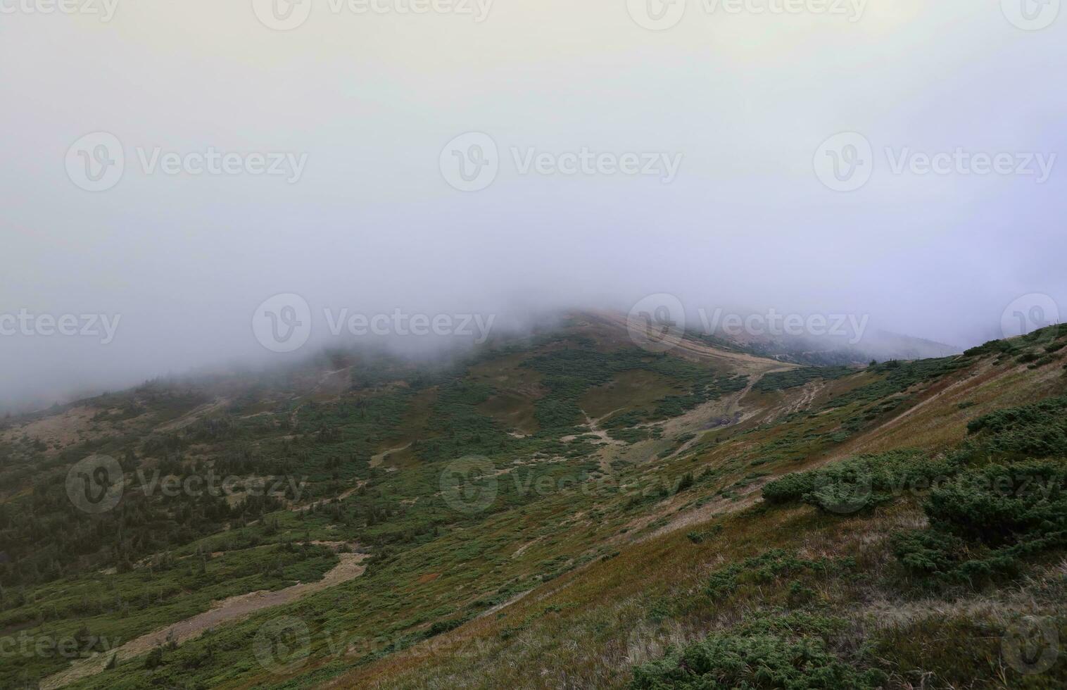Morning view from the Dragobrat mountain peaks in Carpathian mountains, Ukraine. Cloudy and foggy landscape around Drahobrat Peaks photo