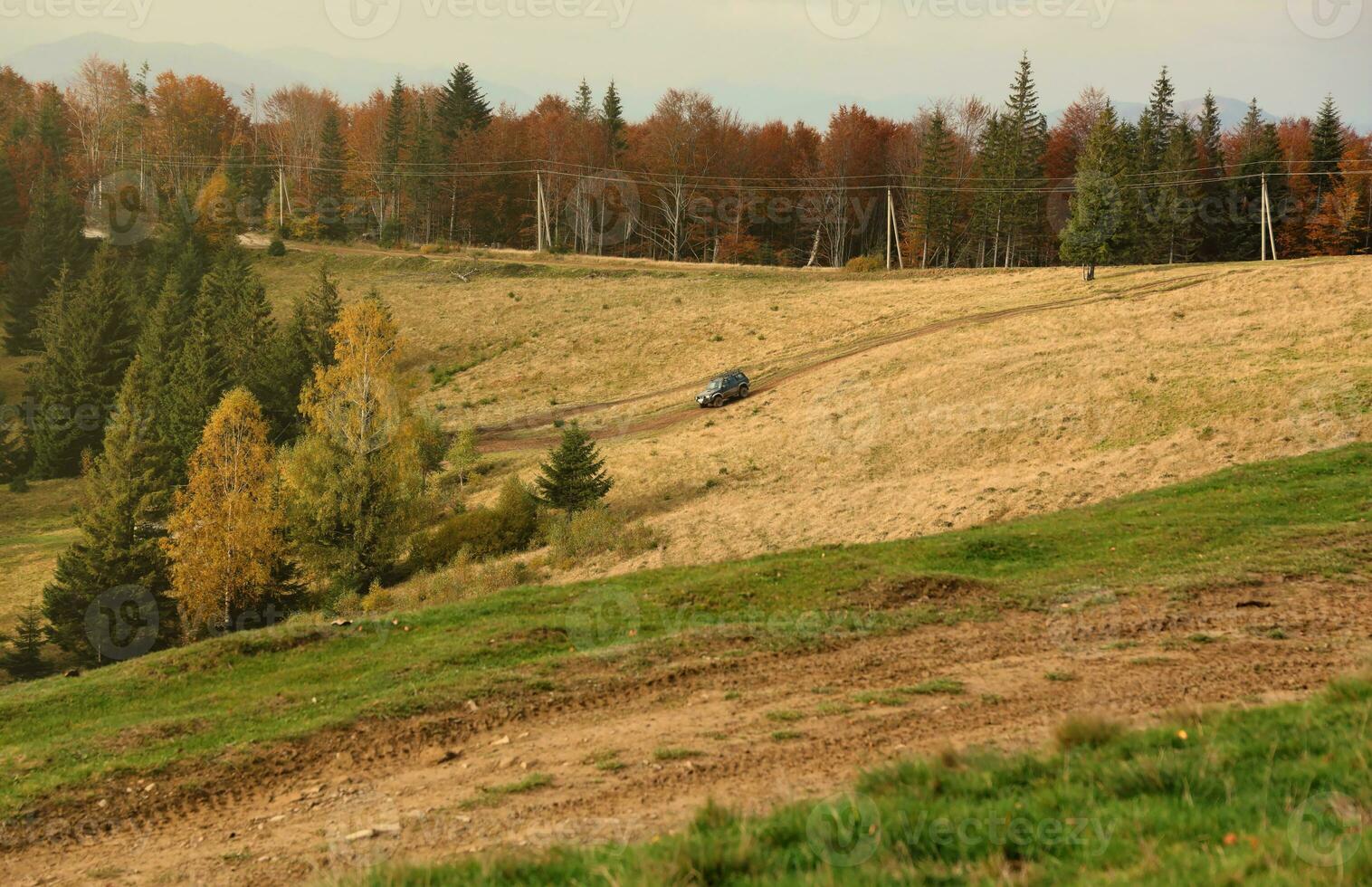Countryside in mountains at sunrise. Grassy rural slopes with fields and trees in fall foliage in autumn photo