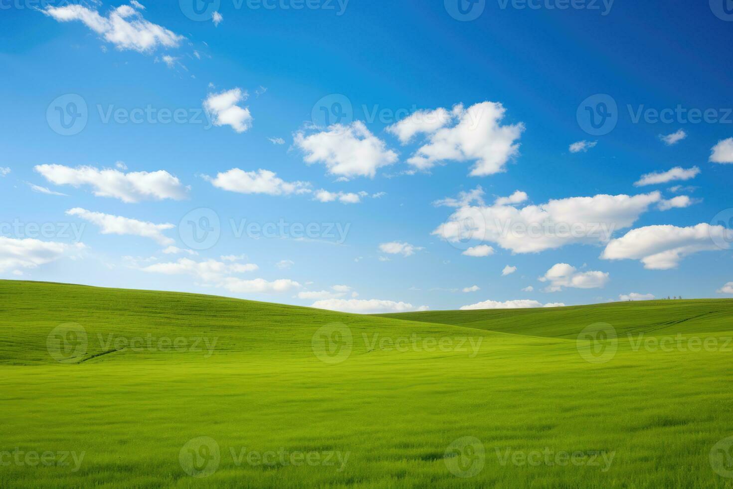 AI generated green grass hill and blue sky photo