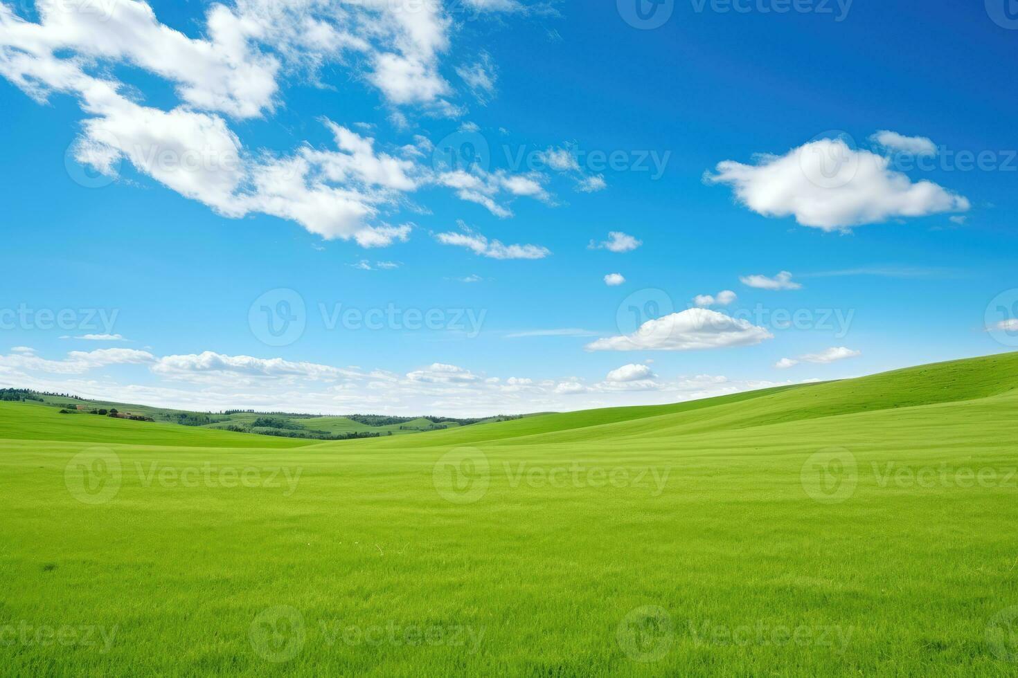 AI generated green grass hill and blue sky photo