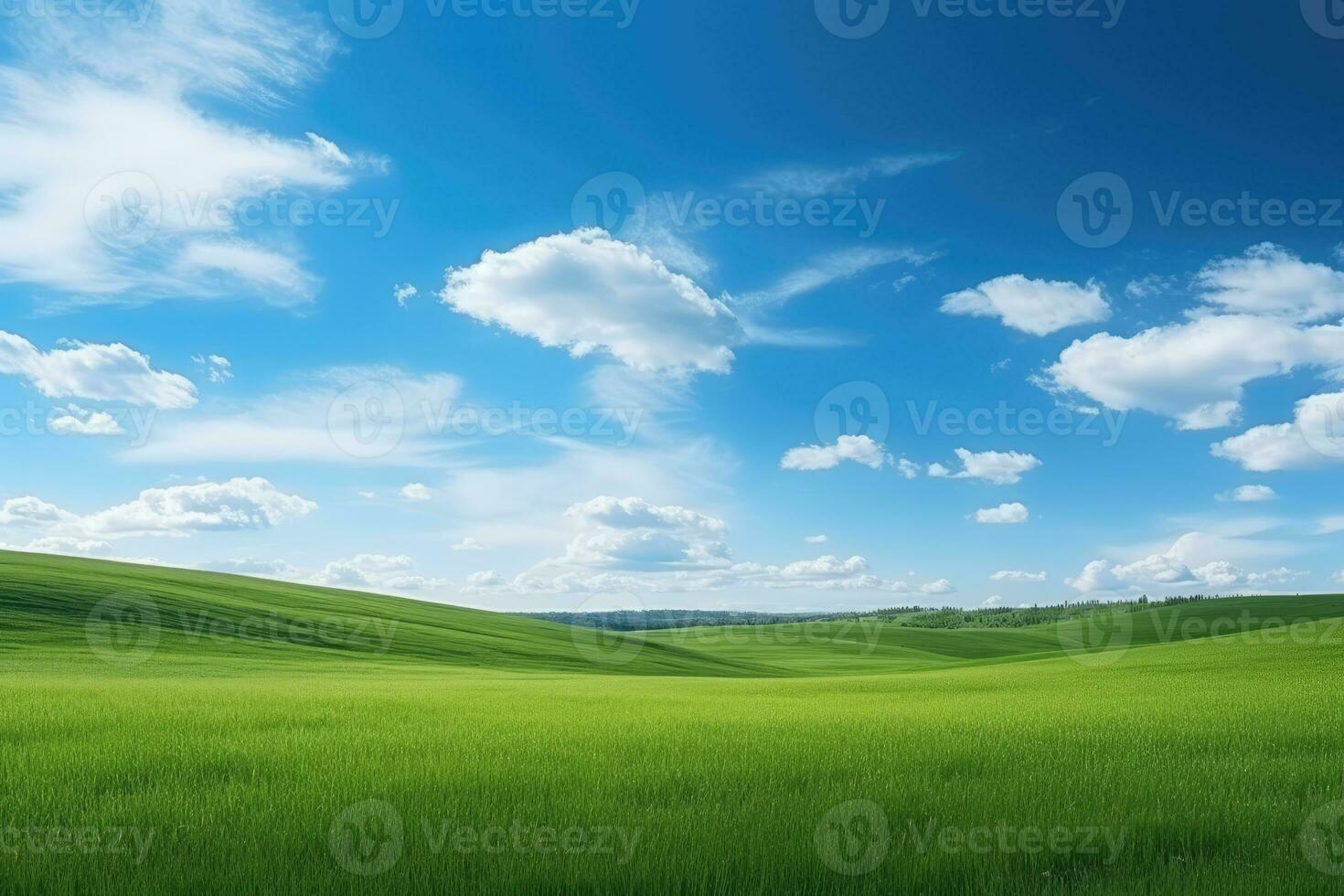 AI generated green grass hill and blue sky photo