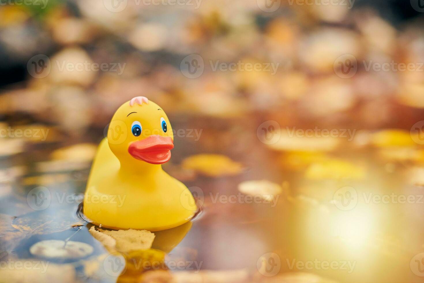 Duck toy in autumn puddle with leaves photo