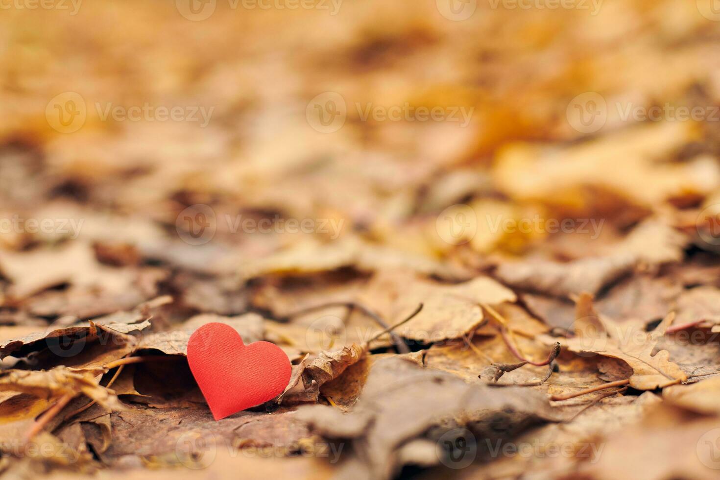 Infatuation, one-sided romantic love concept photo