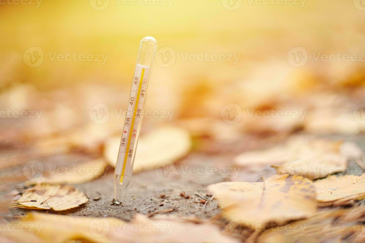 Autumn illness concept. photo