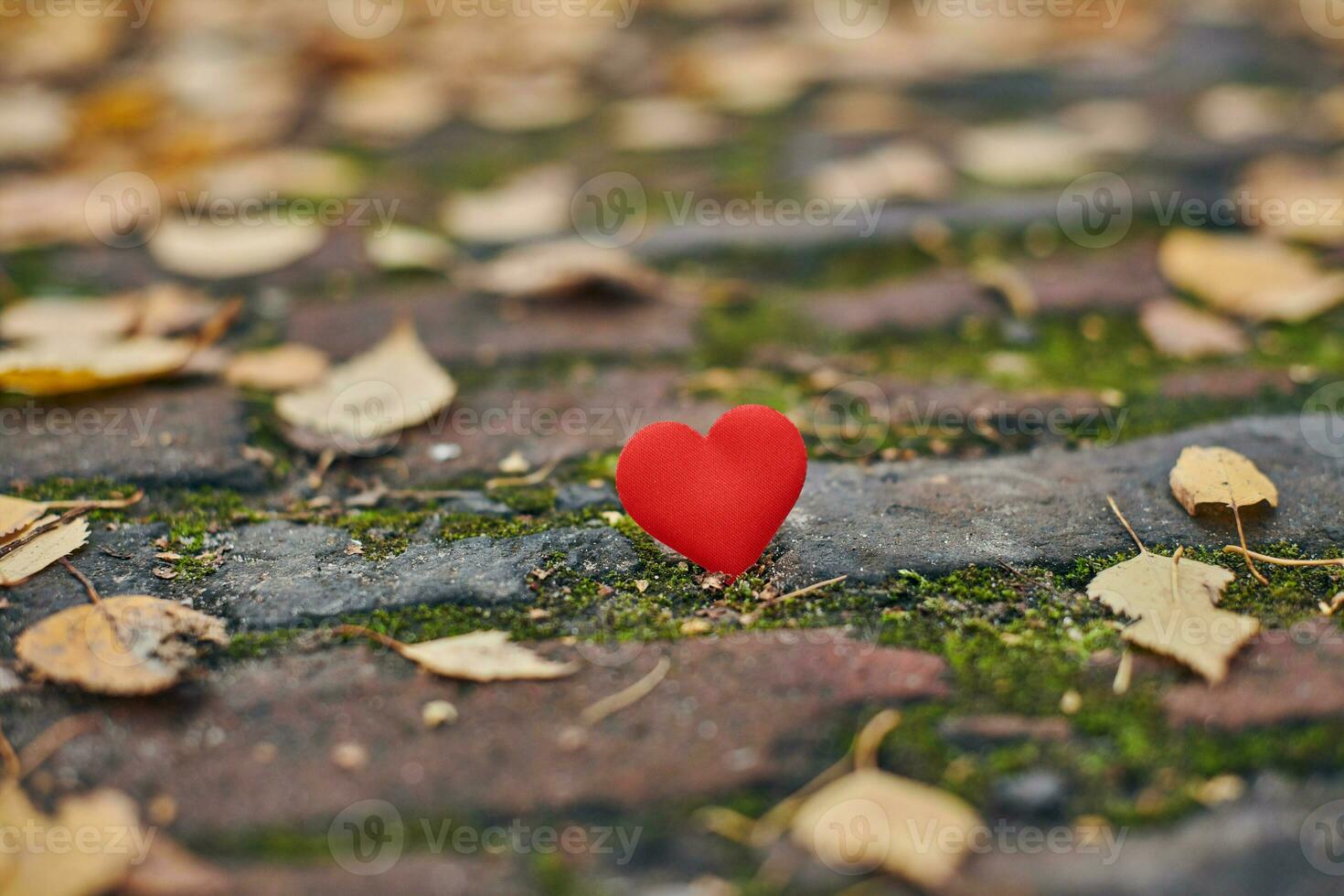 concepto de amor o soledad no correspondido, unilateral. foto