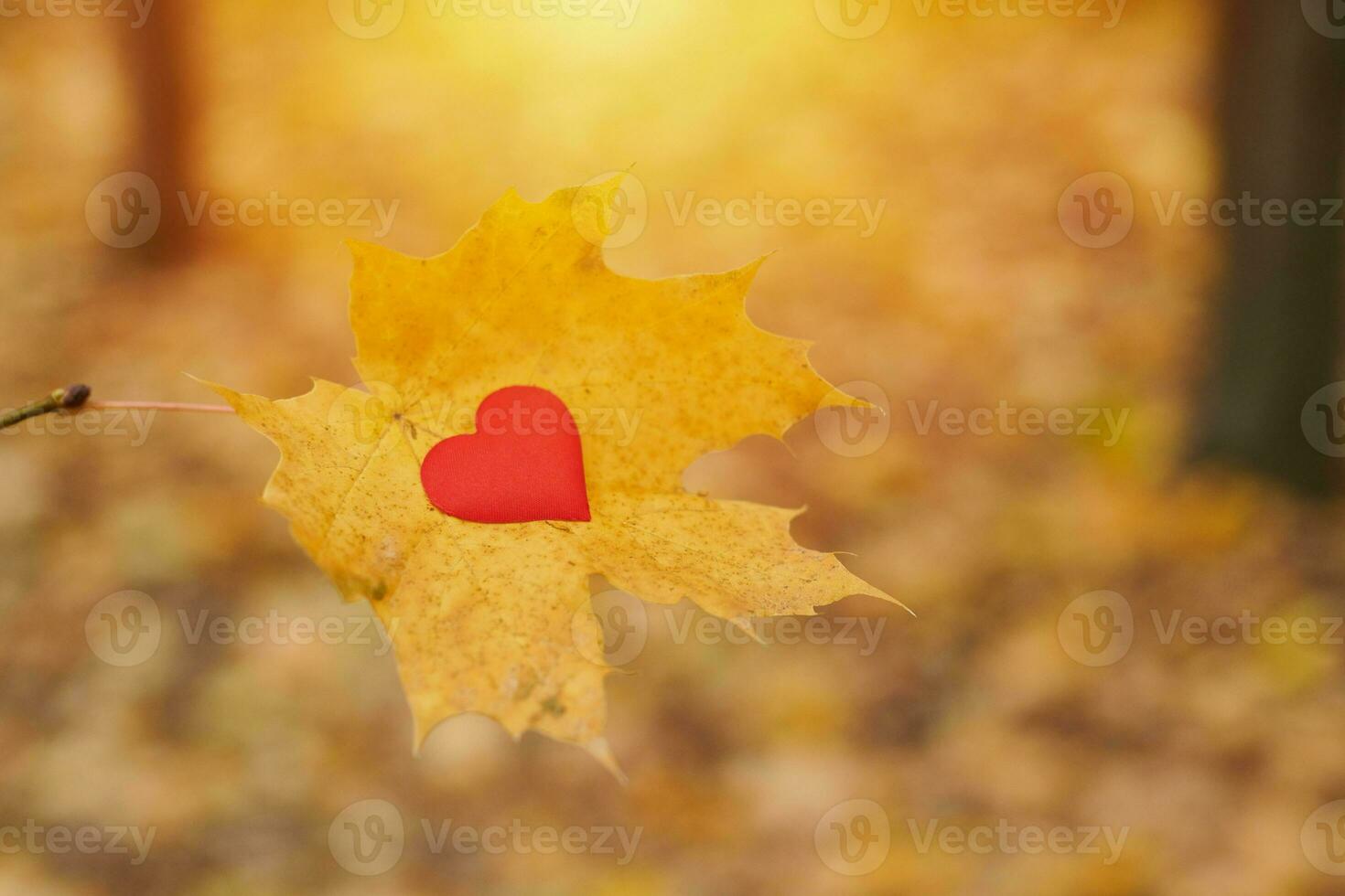 Open pure heart symbol, copy space photo