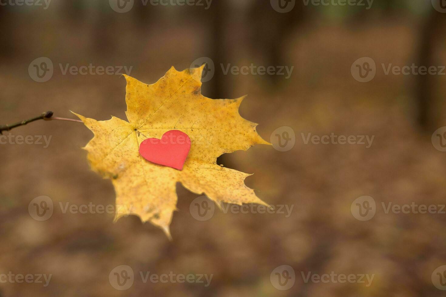 Open pure heart symbol, copy space photo