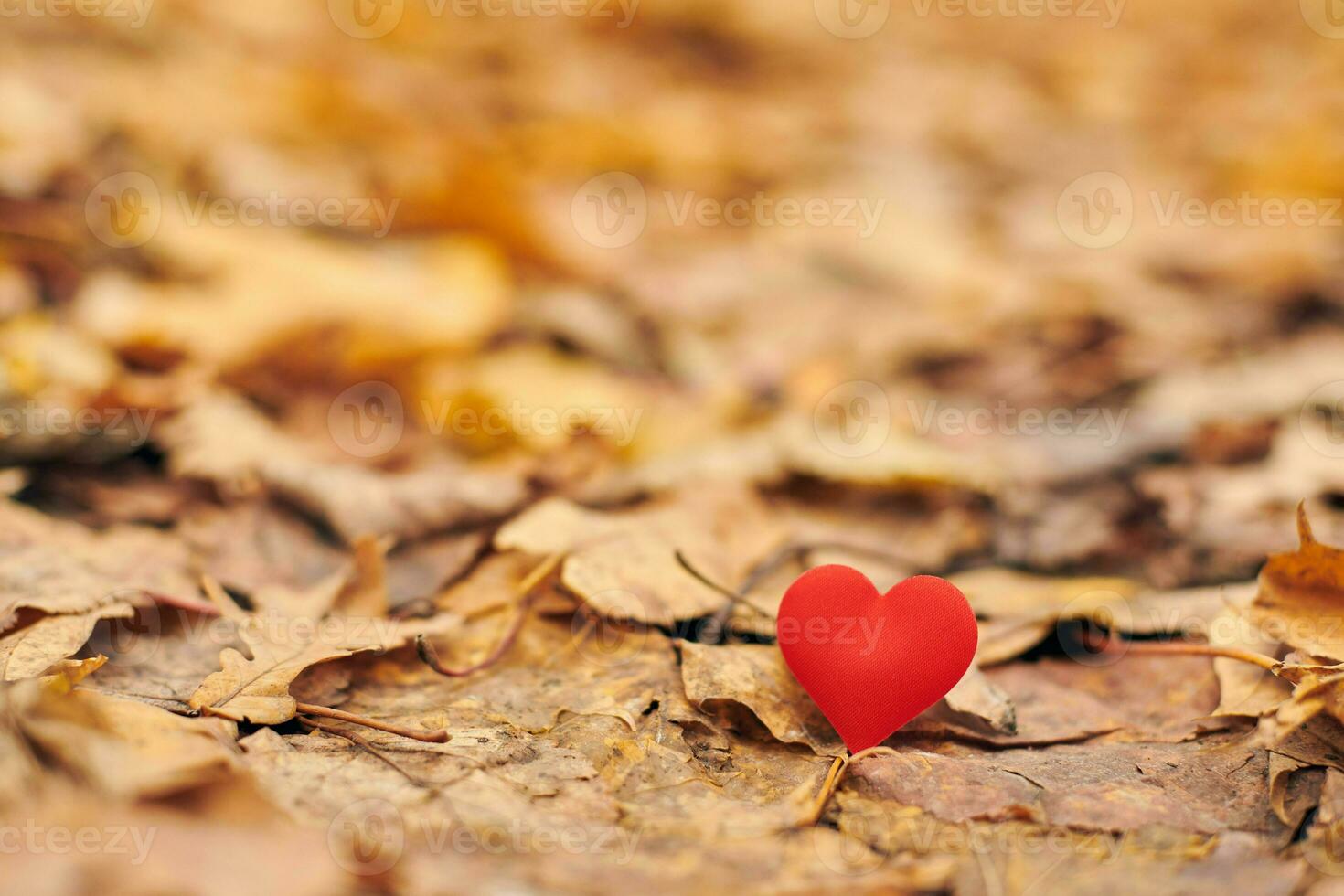 Infatuation or unrequited romantic love concept. photo