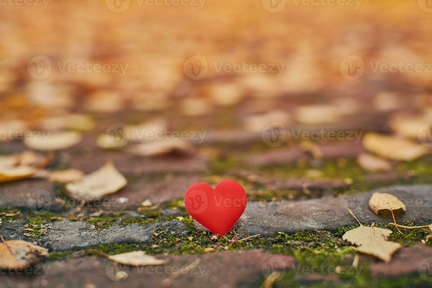 Unrequited, one-sided love or loneliness concept. photo