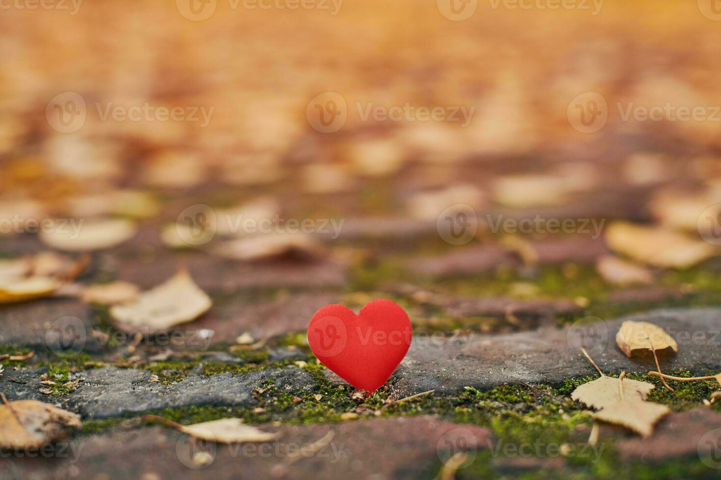 concepto de amor o soledad no correspondido, unilateral. foto