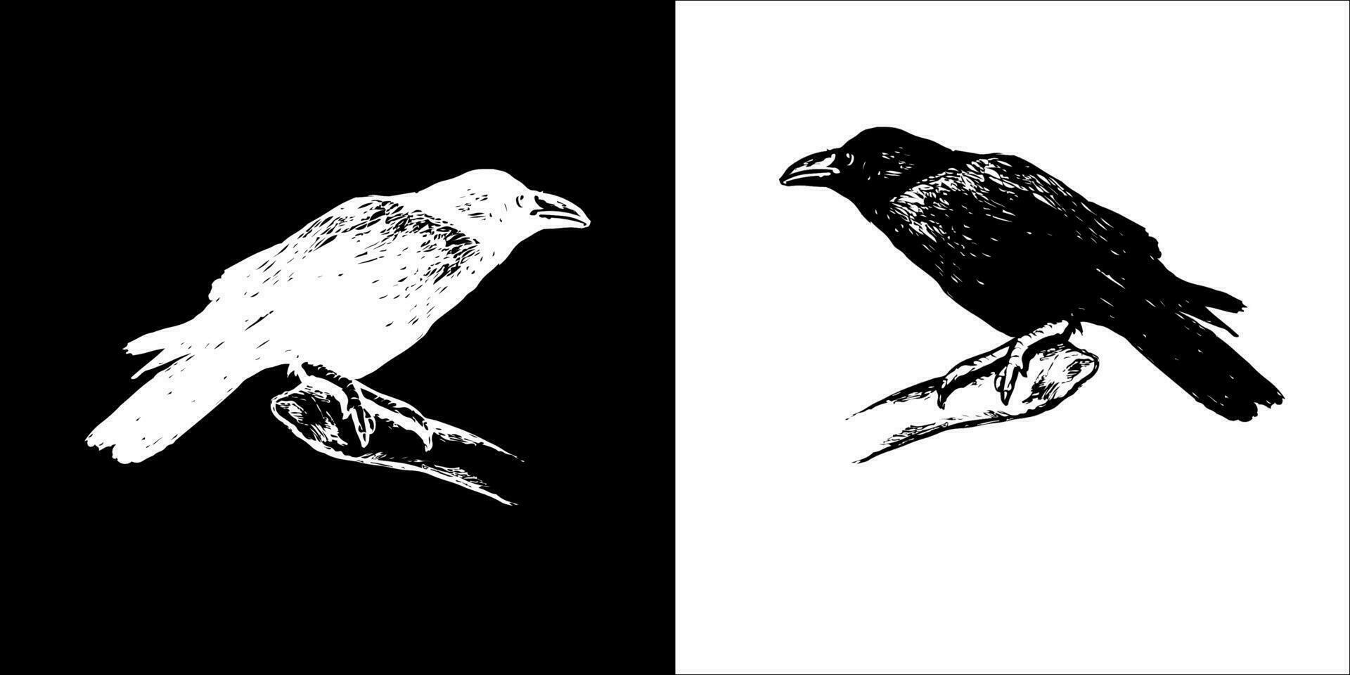 ilustración vector gráficos de pájaro icono