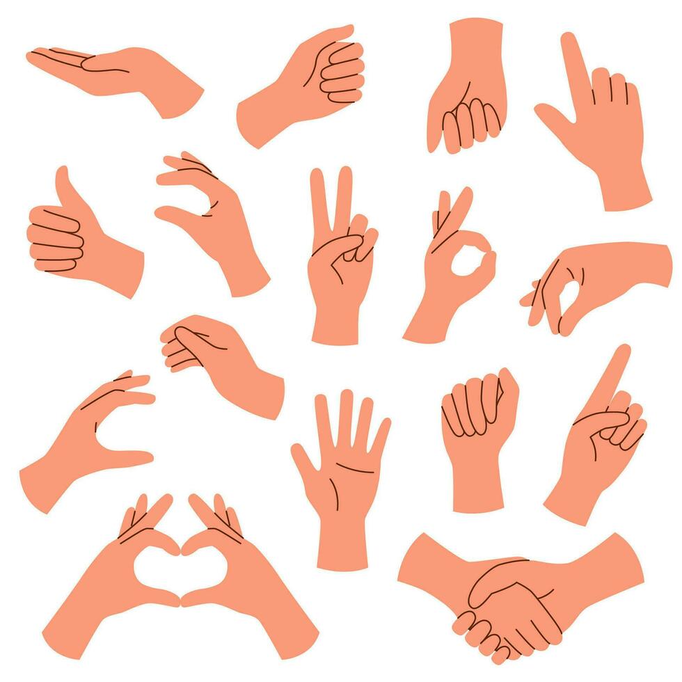 Set of hands isolated on white vector