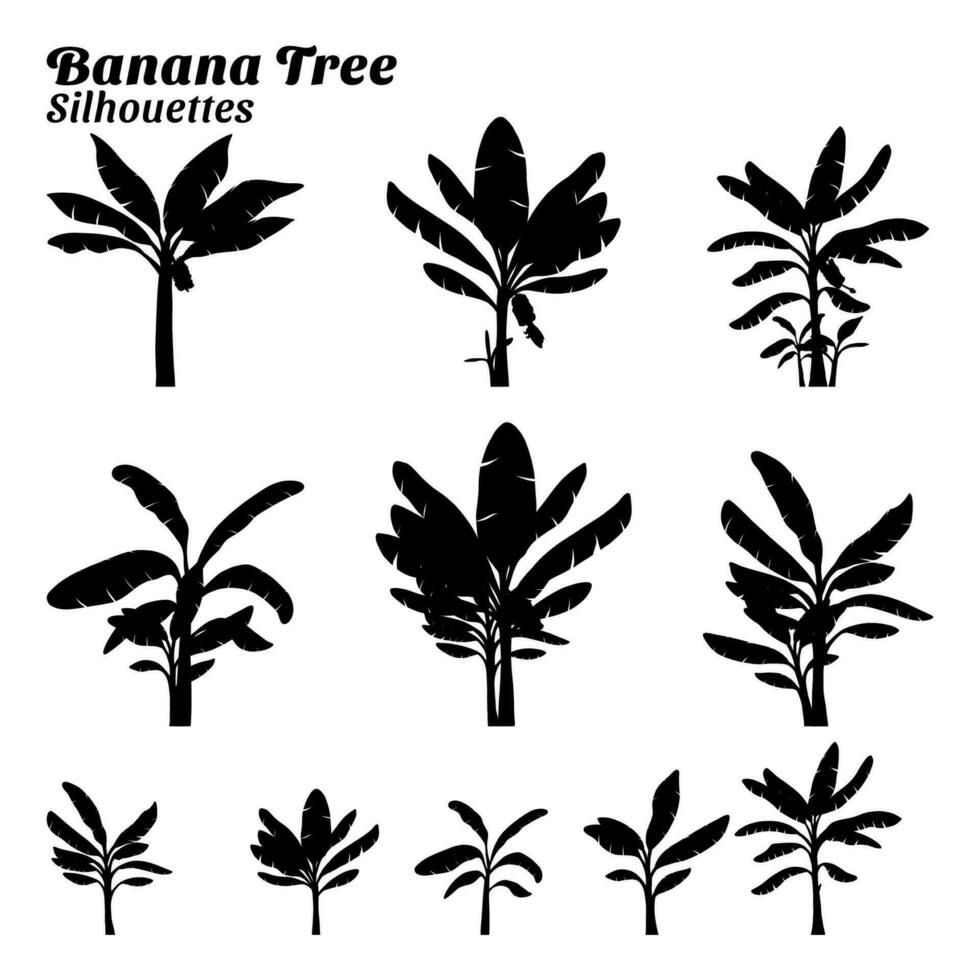 Collection of silhouette illustrations of banana tree vector