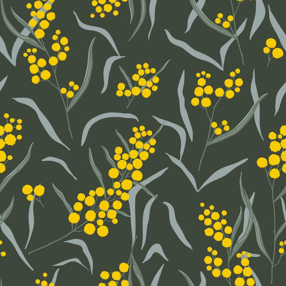 Hand drawn vector wattle branch seamless pattern. Australian native flower