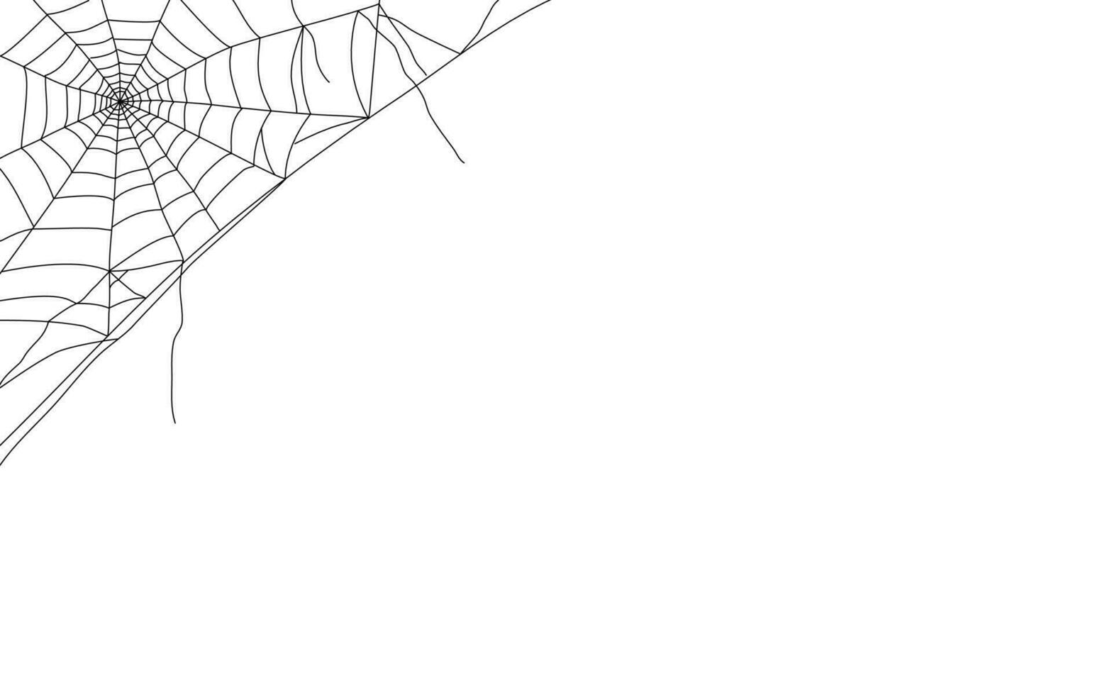 Spider Web on The Corner with Copy Space vector