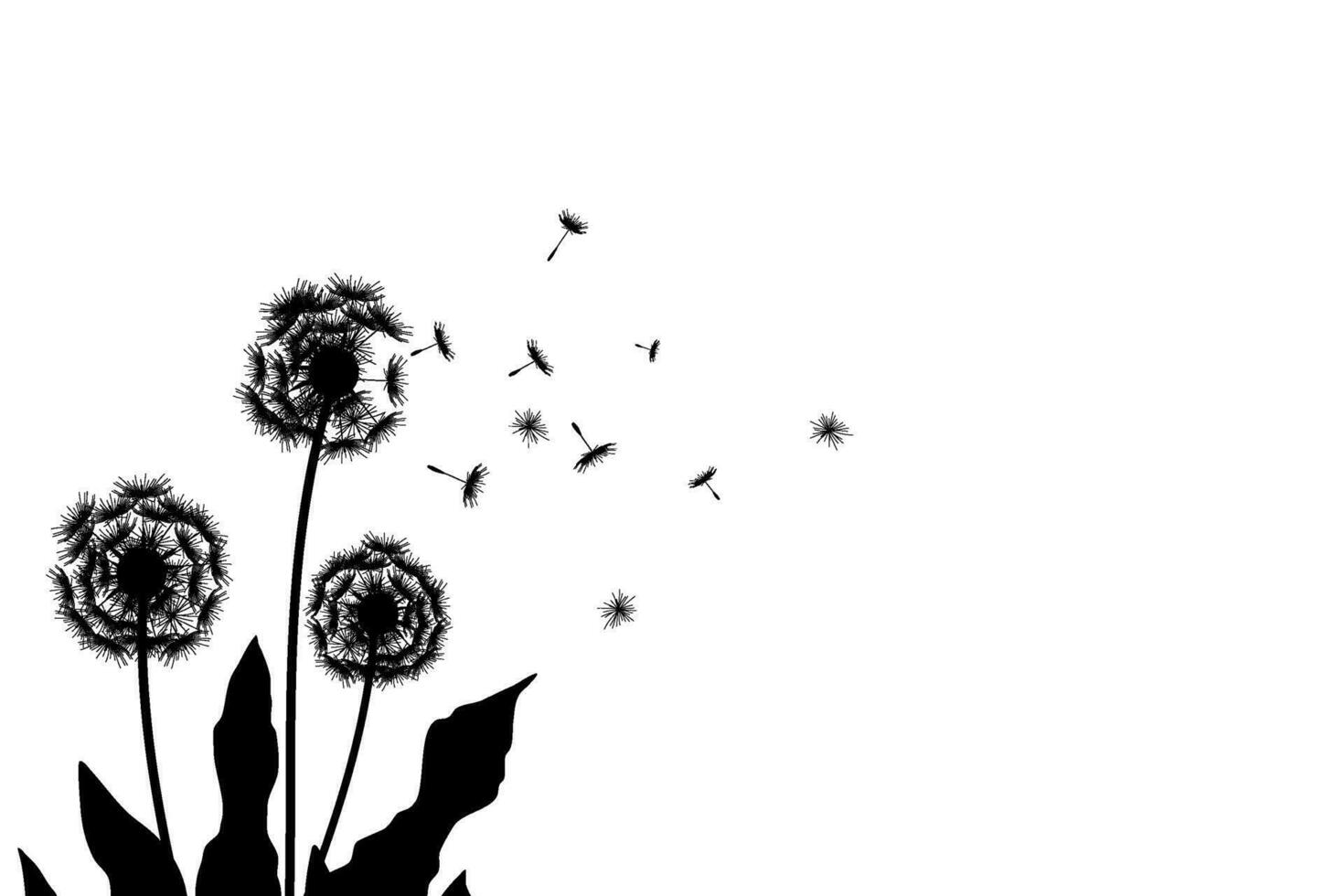 Blowing Dandelion Silhouette with Copy Space vector
