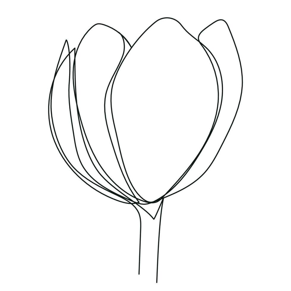 Tulip flower continuous one line drawing. Linear vector illustration