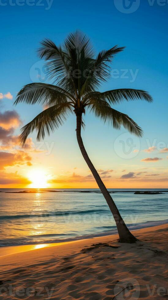 AI generated Solitary Palm Tree Shadow on an Untouched Beach at Sunrise with Copyspace for Text photo