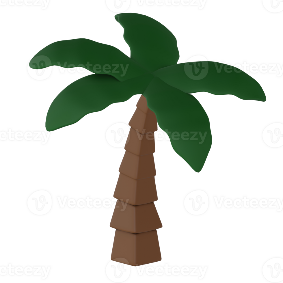 3d rendered palm tree isolated icon png