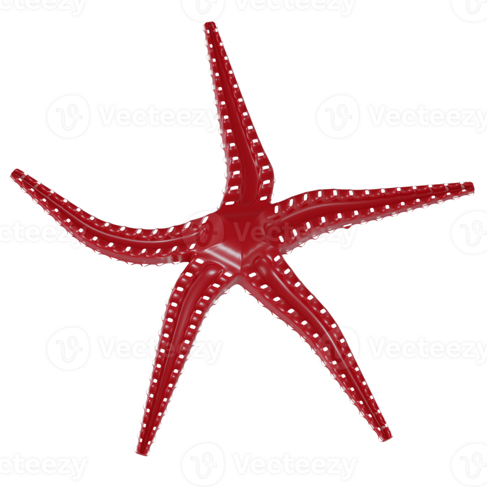 3d rendered red sea star icon isolated png