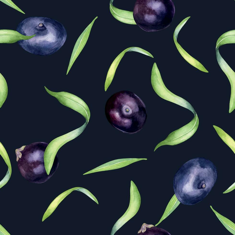 Acai berries and palm leaves watercolor seamless pattern isolated on dark. Exotic amazon small purple berries, tropical fruit hand drawn. Design for packaging, wrapping, textile, background, paper vector