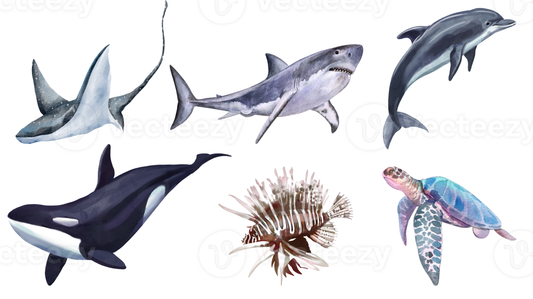 AI generated Cartoon under the sea set. Ocean collection Cartoon water animals and weeds for kids. Clipart with shark, dolphin, whale, turtle, stingray png