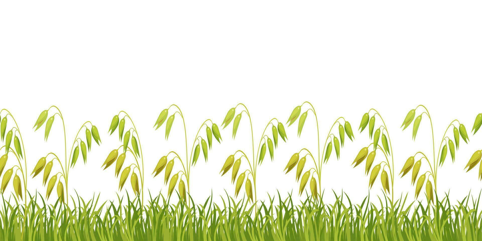 Seamless stripe of oats in grass for design. Green border of field grass. vector