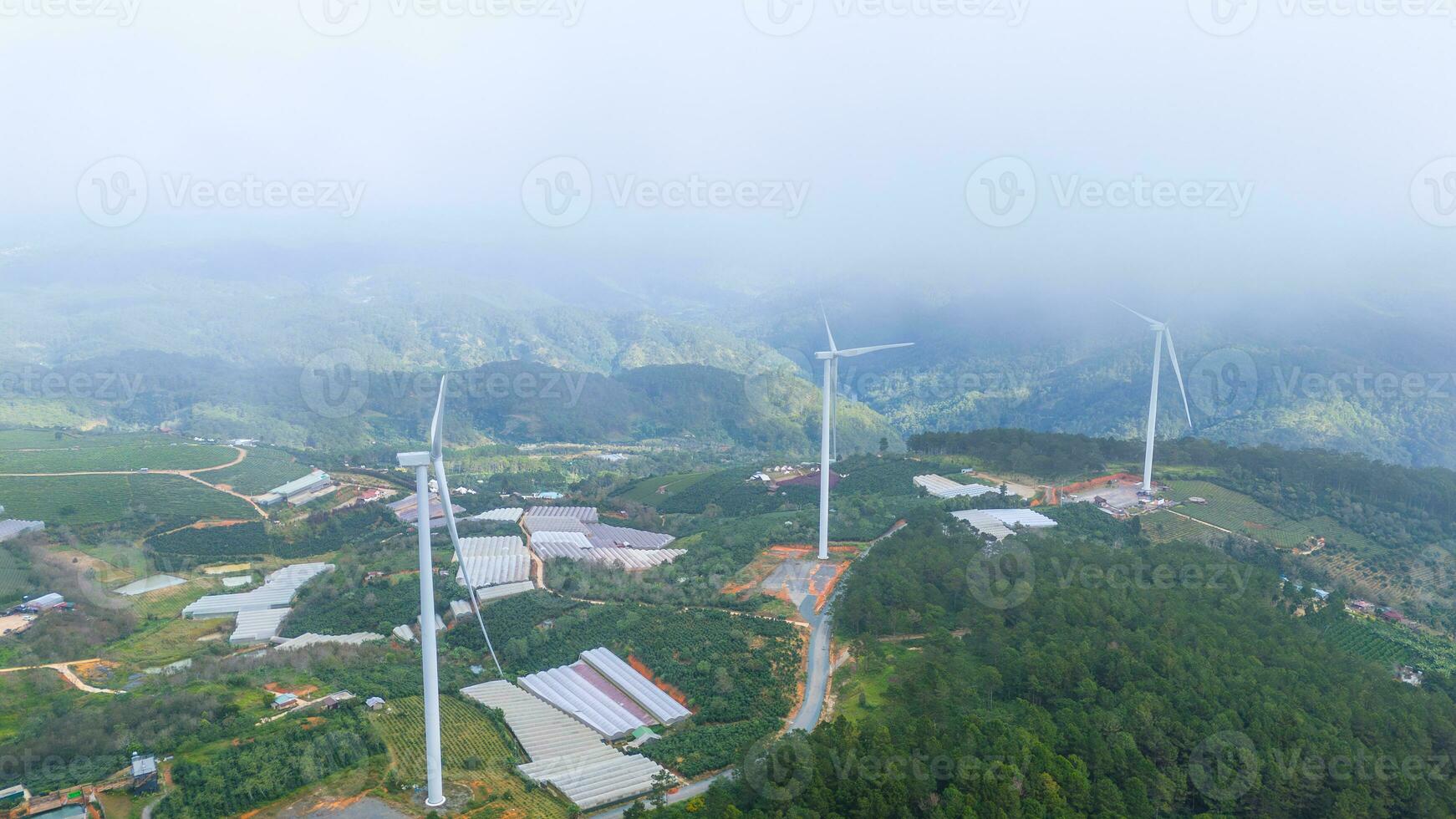 hermosa paisaje en el Mañana a cau eso, da lat ciudad, justicia polla provincia. viento poder en té colina, Mañana paisaje en el ladera de té plantado foto