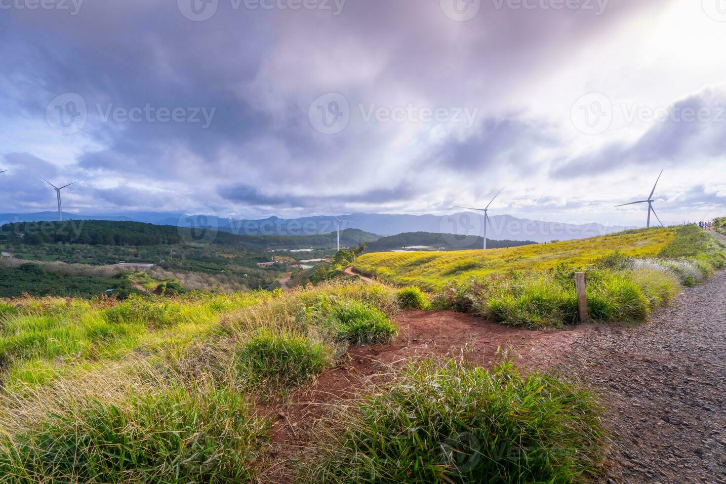 Beautiful landscape in the morning at Cau Dat, Da Lat city, Lam Dong province. Wind power on tea hill, morning scenery on the hillside of tea planted photo