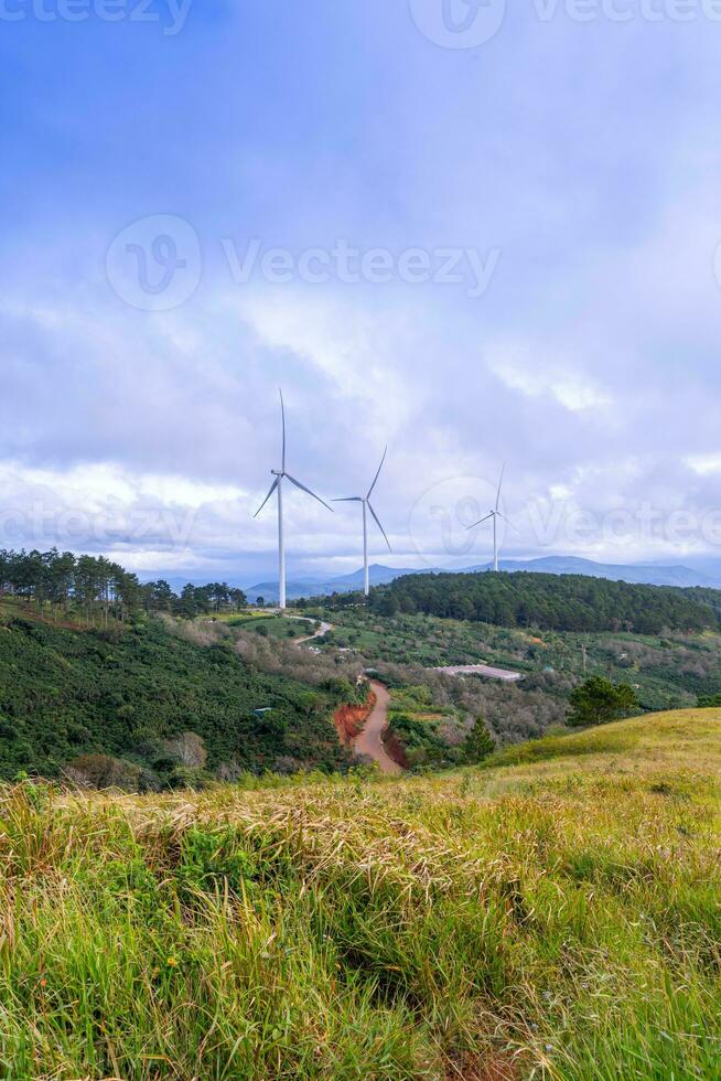 Beautiful landscape in the morning at Cau Dat, Da Lat city, Lam Dong province. Wind power on tea hill, morning scenery on the hillside of tea planted photo