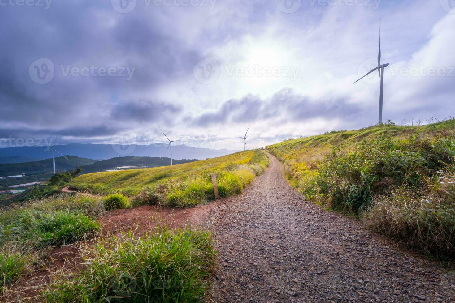 hermosa paisaje en el Mañana a cau eso, da lat ciudad, justicia polla provincia. viento poder en té colina, Mañana paisaje en el ladera de té plantado foto