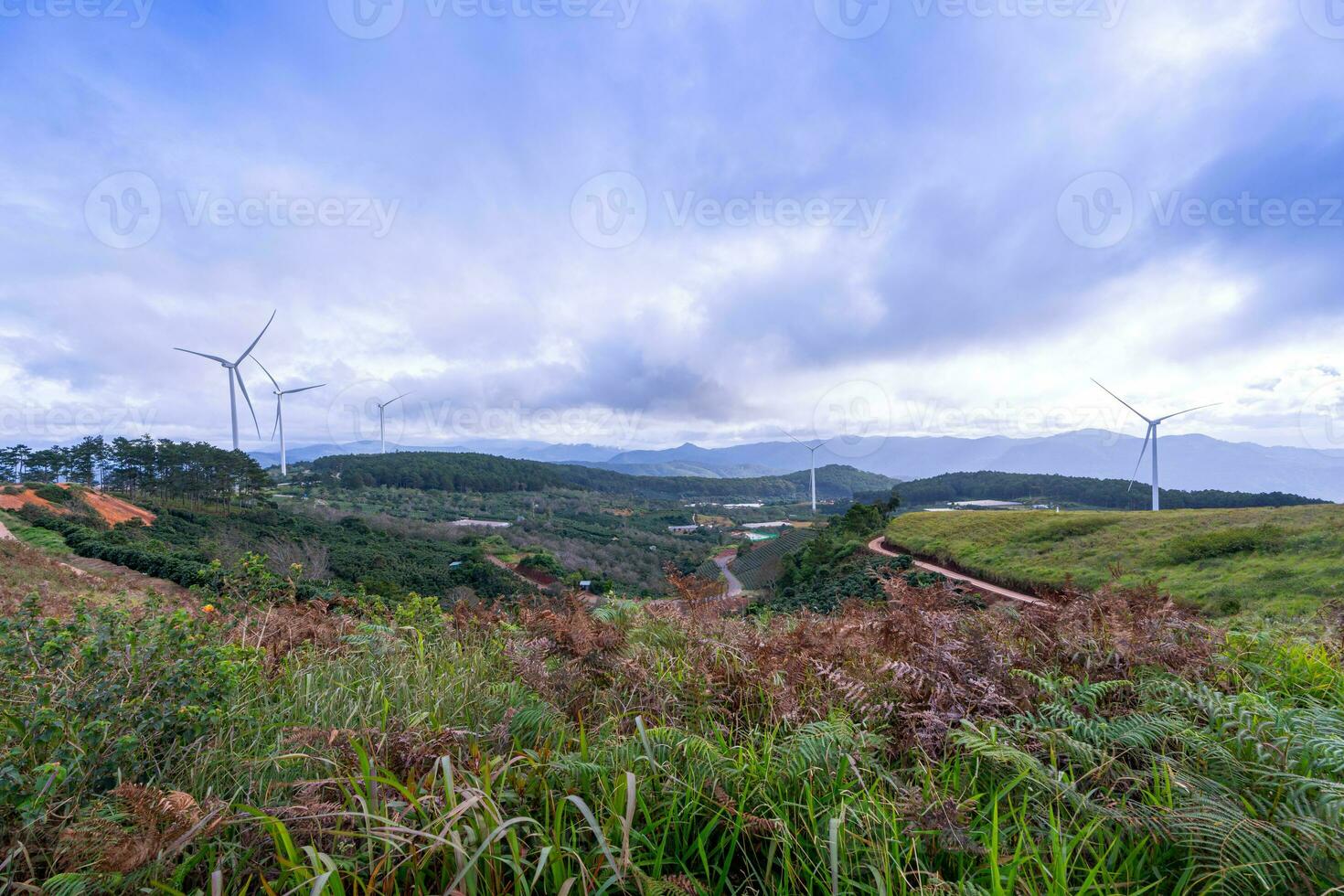 hermosa paisaje en el Mañana a cau eso, da lat ciudad, justicia polla provincia. viento poder en té colina, Mañana paisaje en el ladera de té plantado foto