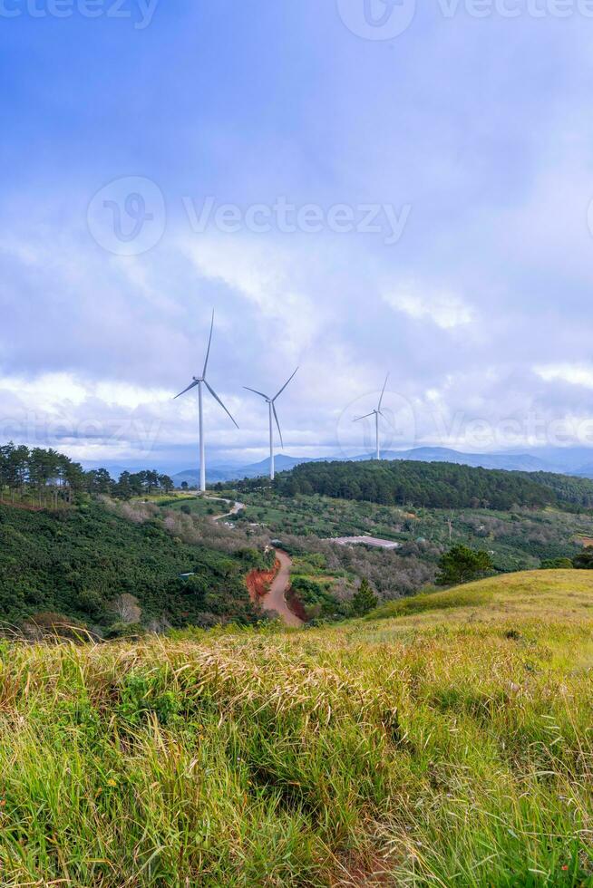 Beautiful landscape in the morning at Cau Dat, Da Lat city, Lam Dong province. Wind power on tea hill, morning scenery on the hillside of tea planted photo