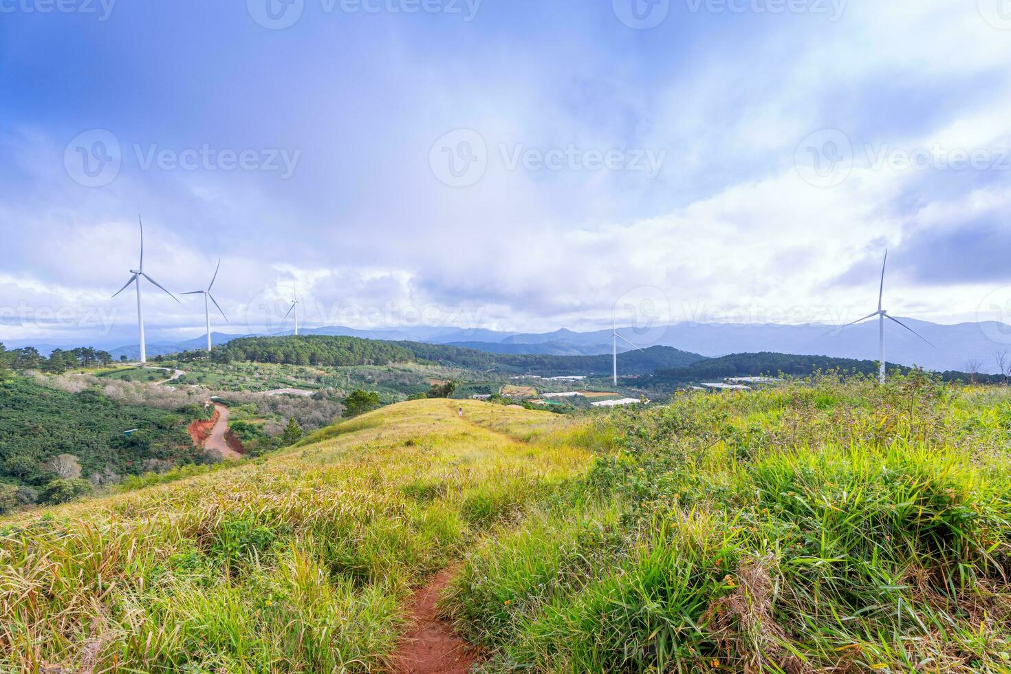 hermosa paisaje en el Mañana a cau eso, da lat ciudad, justicia polla provincia. viento poder en té colina, Mañana paisaje en el ladera de té plantado foto