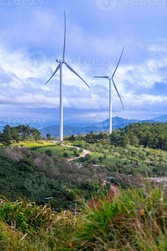 hermosa paisaje en el Mañana a cau eso, da lat ciudad, justicia polla provincia. viento poder en té colina, Mañana paisaje en el ladera de té plantado foto