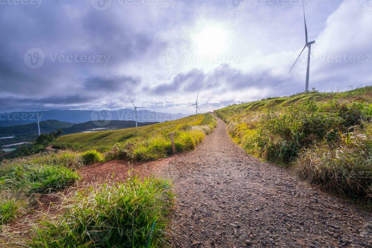 hermosa paisaje en el Mañana a cau eso, da lat ciudad, justicia polla provincia. viento poder en té colina, Mañana paisaje en el ladera de té plantado foto