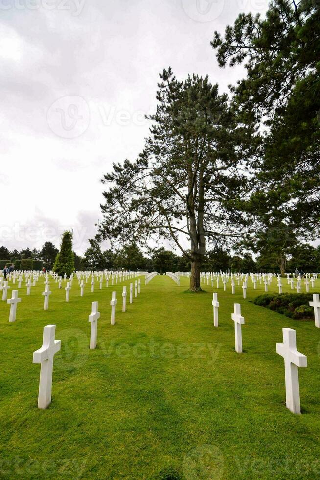 the american cemetery at normandy photo