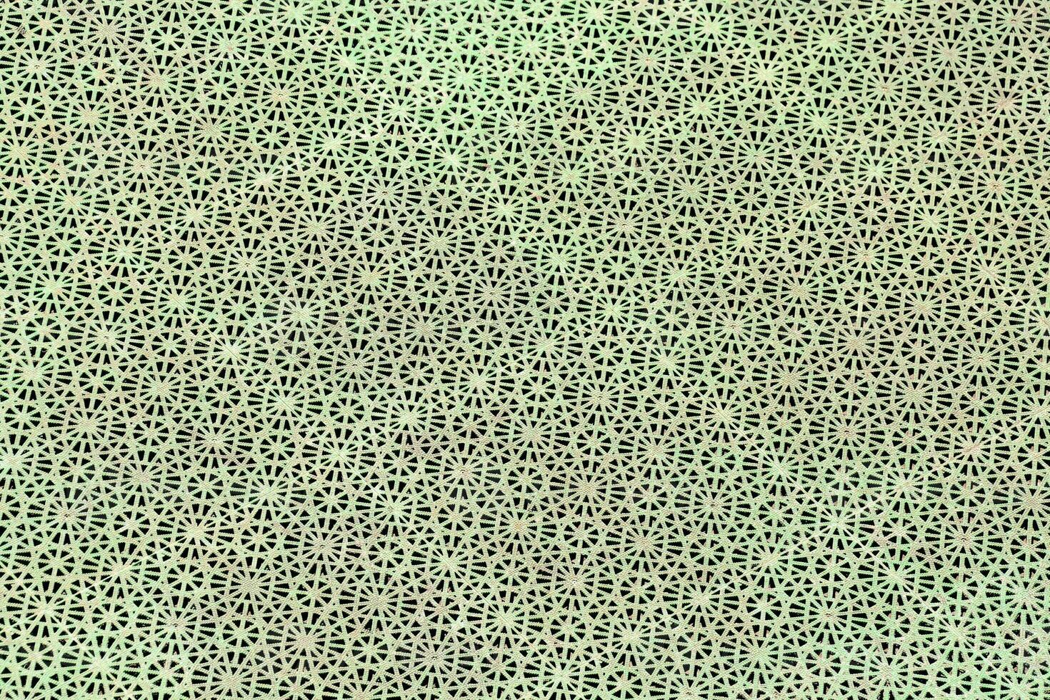 a green and white patterned fabric with small squares photo