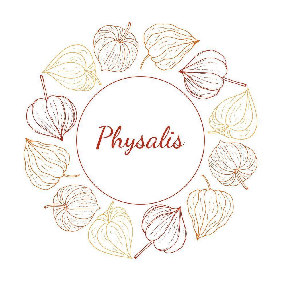 Physalis circular decorative frame. Organic healthy food wreath with space for text. Vector illustration for wallpaper, wrapping paper, package design, and background.