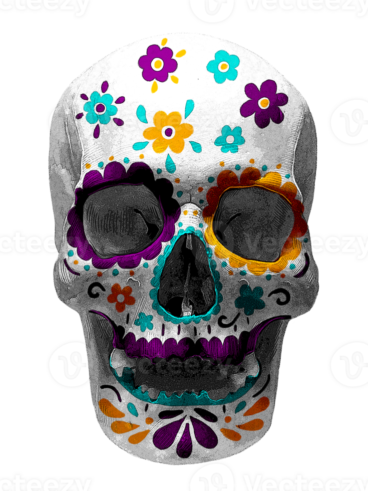 Flower-painted human skull. The Day of the Dead. png