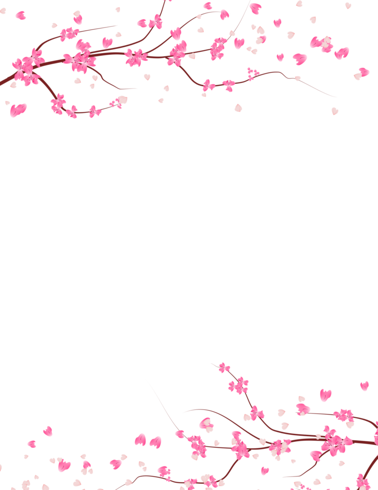 Sakura Blume rahmen. Kirsche blühen Hintergrund. Frühling Blumen- Ast Grenze. png